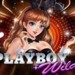 Game Slot Playboy Wilds Mudah Maxwin